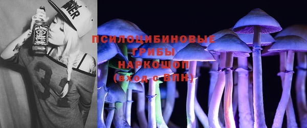 PSILOCYBIN Арсеньев