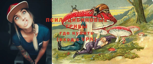 PSILOCYBIN Арсеньев