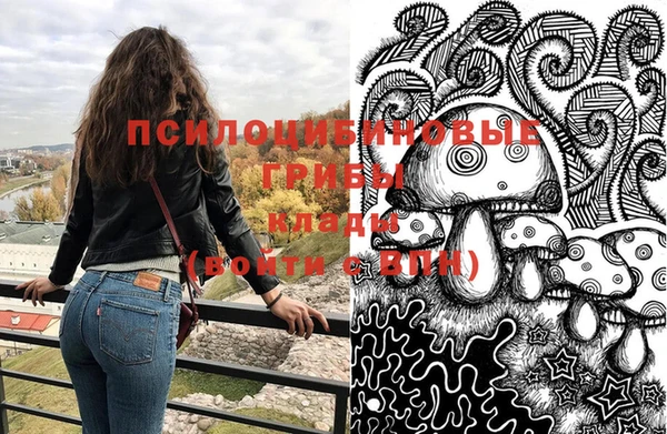PSILOCYBIN Арсеньев